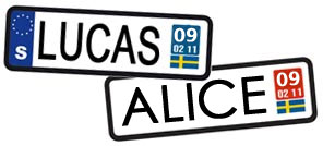 Lukas och Alice på topp 2009