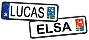 lucas-elsa-2014